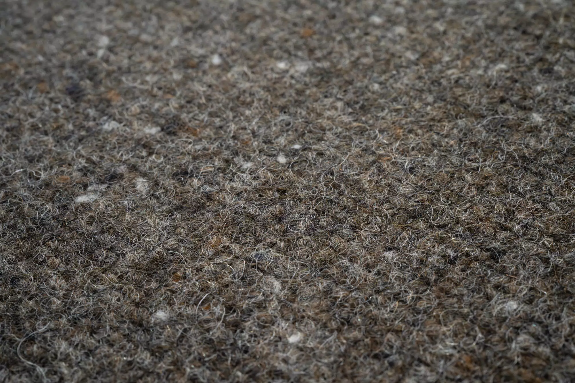 Wildling Shoes Grizzly