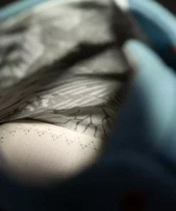 Wildling Shoes Frühling / Sommer Pegasus