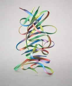 Wildling Shoes Regenbogensenkel